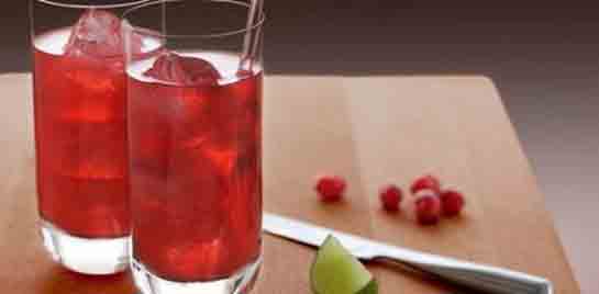 Kızılcık Şerbeti Tarifi ve Malzemeleri