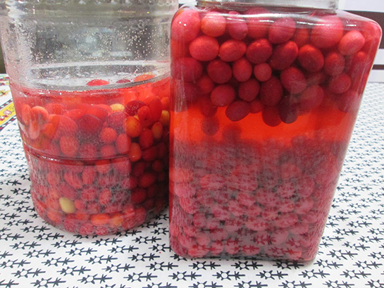 Kızılcık Turşusu Tarifi ve Malzemeleri